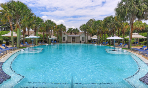 A swimming pool with palm trees